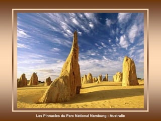 Les Pinnacles du Parc National Nambung - Australie 