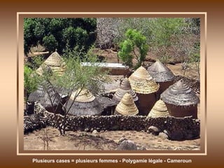 Plusieurs cases = plusieurs femmes - Polygamie légale - Cameroun 