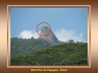 Mont Pico do Papagaio - Brésil 