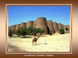 Fort Derawar à Cholistan - Pakistan 