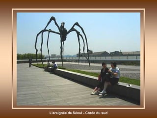 L'araignée de Séoul - Corée du sud 
