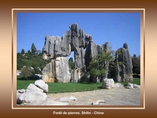 Forêt de pierres, Shilin - Chine 