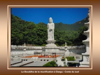Le Bouddha de la réunification à Daegu - Corée du sud 