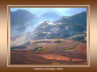 Cultures en terrasse - Chine 