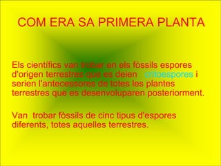 COM ERA SA PRIMERA PLANTA Els científics van trobar en els fòssils espores  d'origen terrestres que es deien  critoespores  i serien l'antecessores de totes les   plantes terrestres que es desenvoluparen   posteriorment.   Van  trobar fòssils de   cinc tipus d'espores diferents, totes aquelles   terrestres.  