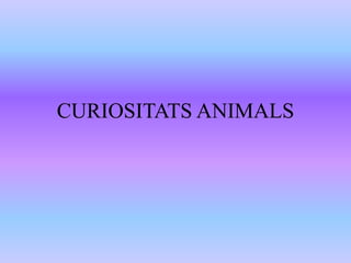 CURIOSITATS ANIMALS
 