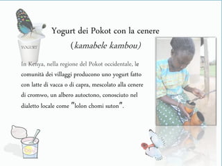 YOGURT
In Kenya, nella regione del Pokot occidentale, le
comunità dei villaggi producono uno yogurt fatto
con latte di vacca o di capra, mescolato alla cenere
di cromwo, un albero autoctono, conosciuto nel
dialetto locale come ″lolon chomi suton″.
Yogurt dei Pokot con la cenere
(kamabele kambou)
 