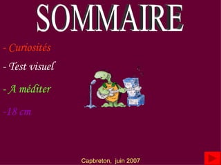 SOMMAIRE - Curiosités - Test visuel - A méditer Capbreton,  juin 2007 -18 cm 