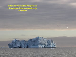 La baie de Disko est célèbre pour ses
 gigantesques icebergs tabulaires au
             Groenland
 