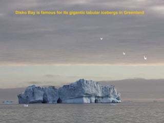 Disko Bay is famous for its gigantic tabular icebergs in Greenland   