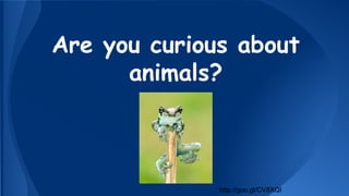 Are you curious about
animals?

http://goo.gl/CV8XQI

 