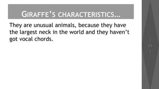 GIRAFFE’S

CHARACTERISTICS…

They are unusual animals, because they have
the largest neck in the world and they haven’t
got vocal chords.

 