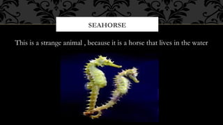 SEAHORSE

This is a strange animal , because it is a horse that lives in the water

 