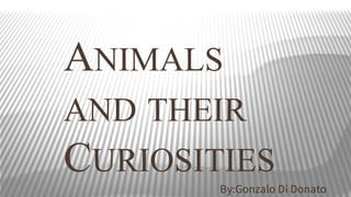 ANIMALS
AND THEIR
CURIOSITIES
By:Gonzalo Di Donato

 