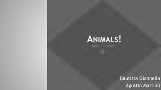 ANIMALS!

Bautista Giannella
Agustin Mattioli

 