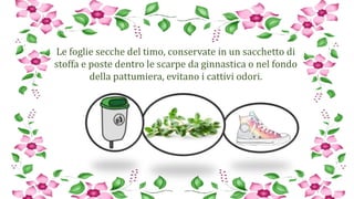 Le foglie secche del timo, conservate in un sacchetto di
stoffa e poste dentro le scarpe da ginnastica o nel fondo
della pattumiera, evitano i cattivi odori.
 