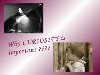 Curiosity | PPT