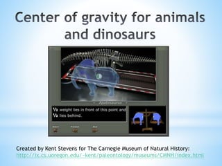 Created by Kent Stevens for The Carnegie Museum of Natural History:
http://ix.cs.uoregon.edu/~kent/paleontology/museums/CM...