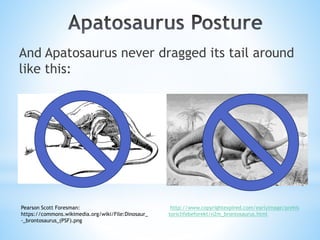 And Apatosaurus never dragged its tail around
like this:
http://www.copyrightexpired.com/earlyimage/prehis
toriclifebefore...
