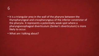 6
• It is a triangular area in the wall of the pharynx between the
thyropharyngeal and cricopharyngeus of the inferior constrictor of
the pharynx. It represents a potentially weak spot where a
pharyngoesophageal diverticulum (Zenker's diverticulum) is more
likely to occur.
• What am I talking about?
 