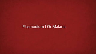Plasmodium f Or Malaria
 