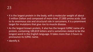 23
• X is the largest protein in the body, with a molecular weight of about
3 million Dalton and composed of more than 27,000 amino acids. Due
to its enormous size and structural role in sarcomere, X is a prominent
target for mutations that give rise to muscle disease.
• As the largest known protein, X also has the longest IUPAC name of a
protein, containing 189,819 letters and is sometimes stated to be the
longest word in the English language. It takes more than 3 hours to
pronounce its IUPAC name.
• Identify X.
 