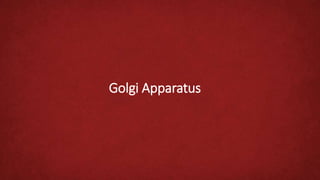 Golgi Apparatus
 