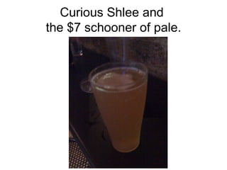 Curious Shlee and  the $7  schooner of pale. 