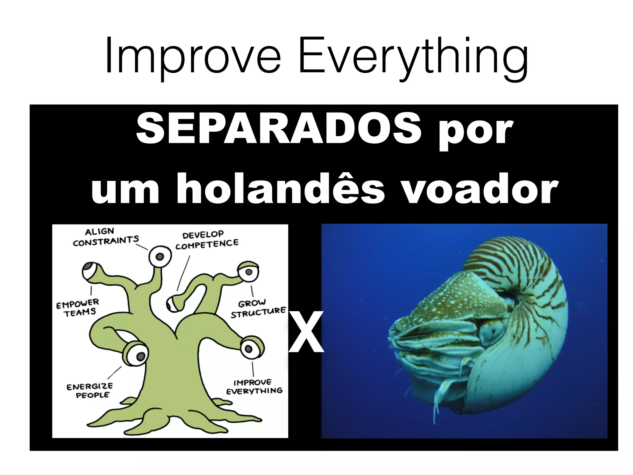 Improve Everything
X
SEPARADOS por
um holandês voador
 