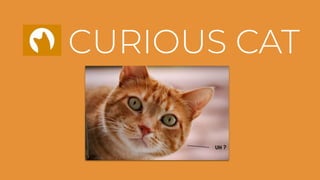 CURIOUS CAT
 