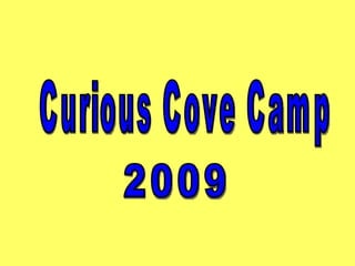 Curious Cove Camp 2009 