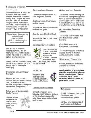 THE CURIOUS GARDENER
UNIVERSITY OF CALIFORNIA COOPERATIVE EXTENSION
Page 2
Plant identification at this point
is critical. In some plants,
different parts have a different
toxicity level. Maybe the plant
itself isn’t toxic but has been
sprayed with an herbicide or
pesticide. The questions are
numerous and can only be
answered by a professional.
This is a list of common
poisonous plants. It is an
incomplete list. Just because a
plant is not listed does not mean
a plant is not poisonous.
Ingestion of any plant can cause
mild or dire complications. It is
always best to investigate
thoroughly.
Brugmansia spp., or „Angels’
Trumpet’
All parts are poisonous to
humans and pets, often proving
fatal. Scopalamine and
atropine, drugs used in hospitals
have similar components.
Datura spp., or Jimsonweed,
Devil’s Trumpet
Flowers, leaves
and seeds are
poisonous to
cattle, human,
goats and
horses.
Daphne odorata, Daphne
The berries are poisonous to
cats, dogs and humans.
Delphinium spp., Delphiniums
and Larkspurs
All parts are poisonous to cattle,
humans and goats.
Dicentra spp., Bleeding Heart
All parts are toxic to cats, cattle
and humans.
Digitalis purpurea, Foxglove
Used as a cardiac
drug in controlled
amounts, leaves
are toxic to
humans. Flowers
and seeds also
toxic. Cats, dogs, and horses
can be affected.
Iris spp., Iris
Rhizomes and
rootstocks are
poisonous to cattle,
swine and humans.
Lantana camara, Lantana
Unripe berries can cause
lethargy, weakness and collapse
of the circulatory system for
cats, dogs, goats, cattle, sheep
and humans.
Nerium oleander, Oleander
The poison can cause irregular
heartbeats, strengthening of the
force of cardiac contractions,
causing convulsions and death.
It can affect humans as well as
dogs, horses, goats, and sheep.
Nicotiana Spp., Flowering
Tobacco
The leaves carry nicotine that
affects swine as well as
humans.
Phytolacca americana,
Pokeweed, Thornapple
The raw berries and roots have
caused deaths of children,
adults, swine and horses.
Wisteria spp., Wisteria vine
Leaves, seeds and all flowers
are toxic to humans.
Any ingestion of an unknown
plant by an animal or a human
bears investigation. “Better
safe than sorry” bears
repeating when it comes to
poisonous plants.
Continued from page 1
If there is any doubt, do not
hesitate to call
Poison Control
(800-222-1222) or your
local veterinarian.
References:
Cornell University, Poisonous
Plant Database:
ansci.cornell.edu/plants
ASPCA, www.aspca.org/pet-
care/poison-control/plants
 