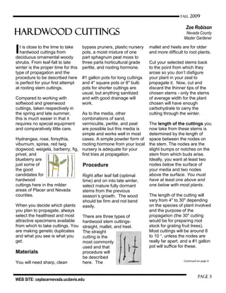 WEB SITE: ceplacernevada.ucdavis.edu
Page 3
FALL 2009
Hardwood Cuttings
Zoe Robison
Nevada County
Master Gardener
It is close to the time to take
hardwood cuttings from
deciduous ornamental woody
shrubs. From leaf-fall to late
winter is the proper time for this
type of propagation and the
procedure to be described here
is perfect for your first attempt
at rooting stem cuttings.
Compared to working with
softwood and greenwood
cuttings, taken respectively in
the spring and late summer,
this is much easier in that it
requires no special equipment
and comparatively little care.
Hydrangea, rose, forsythia,
viburnum, spirea, red twig
dogwood, weigela, barberry, fig,
privet, and
blueberry are
just some of
the good
candidates for
hardwood
cuttings here in the milder
areas of Placer and Nevada
counties.
When you decide which plants
you plan to propagate, always
select the healthiest and most
attractive specimens available
from which to take cuttings. You
are making genetic duplicates
and what you see is what you
get.
Materials
You will need sharp, clean
bypass pruners, plastic nursery
pots, a moist mixture of one
part sphagnum peat moss to
three parts horticultural grade
perlite, and rooting hormone.
#1 gallon pots for long cuttings
and 4" square pots or 8" bulb
pots for shorter cuttings are
usual, but anything sanitized
and with good drainage will
work.
As to the media, other
combinations of sand,
vermiculite, perlite, and peat
are possible but this media is
simple and works well in most
cases. A simple powder form of
rooting hormone from your local
nursery is adequate for your
first tries at propagation.
Procedure
Right after leaf fall (optimal
time) and on into late winter,
select mature fully dormant
stems from the previous
season’s growth. The wood
should be firm and not bend
easily.
There are three types of
hardwood stem cuttings-
straight, mallet, and heel.
The straight
cutting is the
most commonly
used and that
procedure will
be described
here. The
mallet and heels are for older
and more difficult to root plants.
Cut your selected stems back
to the point from which they
arose so you don’t disfigure
your plant in your zeal to
propagate it. Now, cut and
discard the thinner tips of the
chosen stems - only the stems
of average width for the plant
chosen will have enough
carbohydrate to carry the
cutting through the winter.
The length of the cuttings you
now take from these stems is
determined by the length of
space between the nodes on
the stem. The nodes are the
slight bumps or notches on the
stem from which buds arise.
Ideally, you want at least two
nodes below the surface of
your media and two nodes
above the surface. You must
have at least one above and
one below with most plants.
The length of the cutting will
vary from 4" to 30" depending
on the species of plant involved
and the purpose of the
propagation (the 30" cutting
would be for preparing root
stock for grating fruit trees).
Most cuttings will be around 8
to 10 “, unless the nodes are
really far apart, and a #1 gallon
pot will suffice for these.
Continued on page 4
 