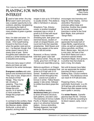 THE CURIOUS GARDENER
UNIVERSITY OF CALIFORNIA COOPERATIVE EXTENSION
Page 6
Planting for winter
interest
Judith Myrick
Placer County
Master Gardener
Iused to hate winter. Any day
that wasn’t warm and sunny
was a wasted opportunity to be
outdoors, planting, transplanting
and enjoying the sight of
hundreds of flowers and the
many shades of green a garden
provides.
Now, I’m older and wiser. I’m
also willing to admit I need a
break. I find myself looking
forward to that time of year
when the garden rests and so
do I. I’ve learned, though, that
winter doesn’t have to be a
dreary time of year. Some
thoughtful plant selection can
produce a winter landscape that
is beautiful and exciting.
There are many ways in which
plants and trees can add
interest to the winter landscape.
Evergreen conifers add color,
texture and architectural drama.
They vary in size, shape and in
the texture of their
foliage. They may be
tall, shrubby or
weeping. They may
have needle-type
foliage like pine,
spruce, fir or hemlock,
or have scale-like
foliage like juniper and
arborvitae.
In contrast to the conifers, there
are broad-leafed evergreens
like Mexican abelia, Abelia
floribunda, a shrub with a
graceful, arching habit. It
ranges in size up to 10 ft tall but
is usually shorter. This abelia is
often in full bloom in January.
Strawberry Tree, Arbutus
unedo, is another broadleaf
evergreen tree or shrub. It
grows to 8-35 feet with equal
spread. It has red-brown
shredding bark, dark green red-
stemmed leaves, clusters of
small urn-shaped flowers, and
round red fruits that resemble
strawberries. Both flowers and
fruits may appear at the same
time in fall and winter.
Boxwood, or Buxus, hybrids
hold their green color well
throughout winter. They are cold
-hardy, grow from 3-5 ft high, 3-
4 ft wide and need little pruning.
Mahonia aquifolium, or Oregon
grape, is a bushy evergreen that
grows to 6 ft high with a 5 ft
spread. Scattered mature red
leaves remain throughout the
year. Leaves turn purple or
bronze in winter. Yellow flowers
appear in late winter, followed
by edible blue-black grape-like
fruit.
In the leafless season,
deciduous trees get a chance
to show off branch structure,
bark patterns, and stem color.
The branches of Cornus nuttallii,
Pacific or Western dogwood,
grow in an attractive horizontal
pattern. Cornus stolonifera,
Redtwig dogwood, has bright
red twigs. Severe pruning
encourages new branches and
twigs for winter display. Cornus
stolonifera „Flaviramea‟
produces yellow twigs and
branches. Another tree notable
for its coral red twigs and
branches in winter is the Coral
Bark Maple, Acer palmatum
„Sango Kaku‟.
In winter we can especially
appreciate the lovely bark of
Crape Myrtle, Lagerstroemia
indica, as well as Lacebark Elm,
Ulmus parvifolia, and River
Birch, Betula nigra. Not only is it
a nice color, the bark of the
River Birch flakes and curls in
cinnamon-colored sheets.
Paperbark Maple, Acer griseum,
is another tree that sheds its
bark in long, thin sheets.
Not until its leaves have fallen
can we appreciate the twisted
branches of Harry Lauder’s
Walking Stick, Corylus avellana
‘Contorta’. This deciduous shrub
can reach 8-10 ft tall and wide.
Flowering Cherry, Prunus
subhirtella „Autumnalis‟, is a 25-
30 ft tall tree with pinkish-white
flowers that often appear during
warm spells in January.
For winter flowers, Camellia
japonica tops the list. Choose
this 6-12 ft tall tree according to
its bloom season, early, mid or
late.
Continued on page 7
 