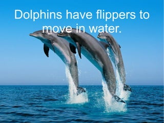 Dolphins have flippers to
move in water.
 