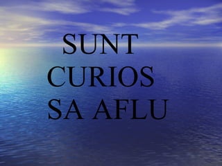 SUNT CURIOS SA AFLU 