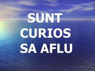 SUNT CURIOS SA AFLU 