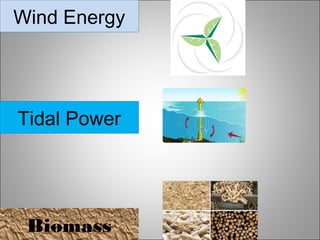 Wind Energy
Tidal Power
Biomass
 