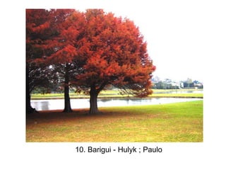 10. Barigui - Hulyk ; Paulo
 