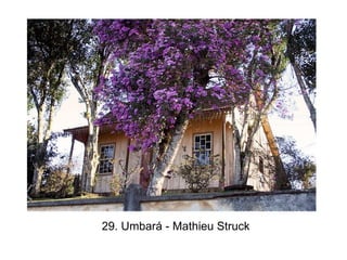 29. Umbará - Mathieu Struck
 