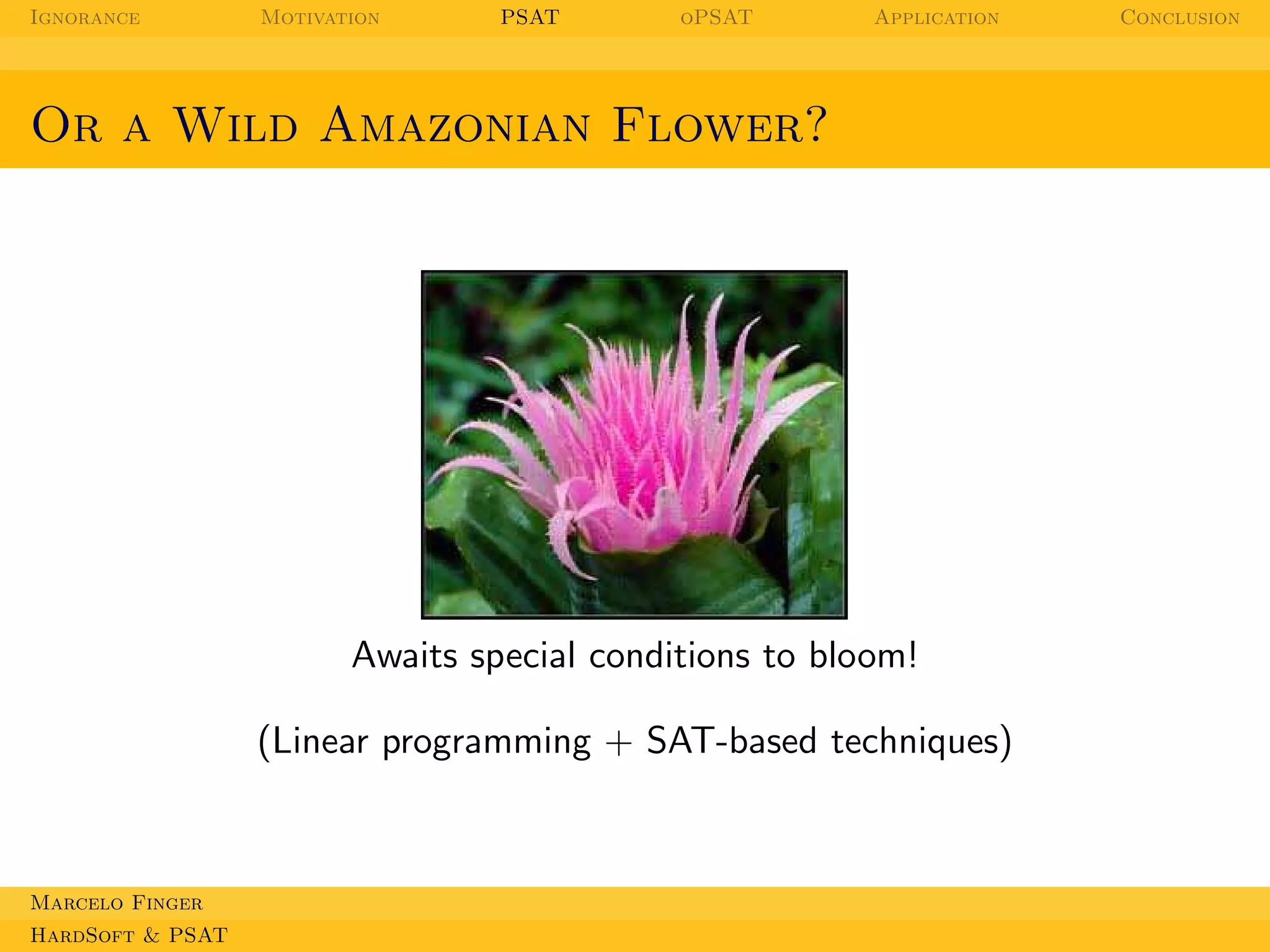 Ignorance

Motivation

PSAT

oPSAT

Application

Or a Wild Amazonian Flower?

Awaits special conditions to bloom!
(Linear programming + SAT-based techniques)

Marcelo Finger
HardSoft & PSAT

Conclusion

 