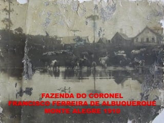 FAZENDA DO CORONEL
FRANCISCO FERREIRA DE ALBUQUERQUE
        MONTE ALEGRE 1910
 