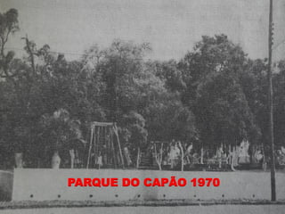 PARQUE DO CAPÃO 1970
 