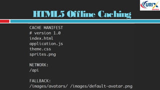 HTML5 Offline Caching
 