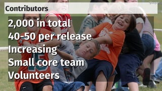 Contributors
2,000 in total2,000 in total
40-50 per release40-50 per release
IncreasingIncreasing
Small core teamSmall core team
VolunteersVolunteers
@bagder@bagder
 