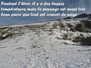 Pendant l’hiver, il y a des basses
températures mais le paysage est aussi très
beau parce que tout est couvert de neige.