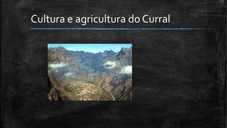 Cultura e agricultura do Curral
 