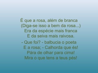 É que a rosa, além de branca
(Diga-se isso a bem da rosa...)
Era da espécie mais franca
E da seiva mais raivosa.
- Que foi? - balbucia o poeta
E a rosa; - Calhorda que és!
Pára de olhar para cima!
Mira o que tens a teus pés!
 
