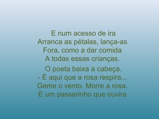 E num acesso de ira
Arranca as pétalas, lança-as
Fora, como a dar comida
A todas essas crianças.
O poeta baixa a cabeça.
- É aqui que a rosa respira...
Geme o vento. Morre a rosa.
E um passarinho que ouvira
 