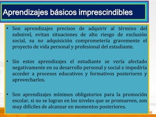 • Son aprendizajes precisos de adquirir al término del
subnivel, evitan situaciones de alto riesgo de exclusión
social, su no adquisición comprometería gravemente el
proyecto de vida personal y profesional del estudiante.
• Sin estos aprendizajes el estudiante se vería afectado
negativamente en su desarrollo personal y social e impediría
acceder a procesos educativos y formativos posteriores y
aprovecharlos.
• Son aprendizajes mínimos obligatorios para la promoción
escolar, si no se logran en los niveles que se promueven, son
muy difíciles de alcanzar en momentos posteriores.
 